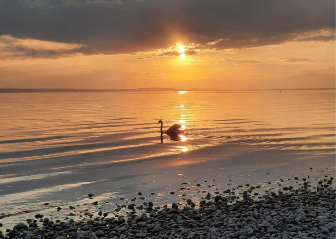 Ferienwohnung Morgensonne Langenargen Esterno foto